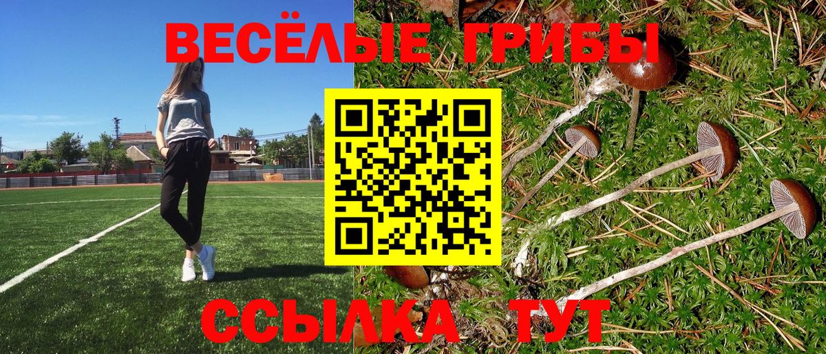 Галлюциногенные грибы прущие грибы  Вход с VPN  Димитровград 