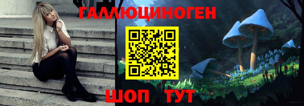 Псилоцибиновые грибы Magic Shrooms Димитровград